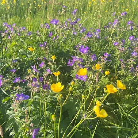 Privat bolig Ferienzimmer Klosterblick *