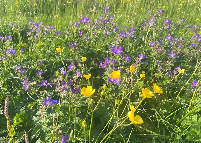 Privat bolig Ferienzimmer Klosterblick *